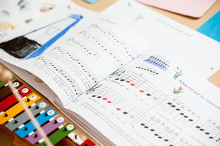 乐鱼官网介绍-中小学体育教师继续教育体系建设与实施研究，小学体育继续教育考试试题及答案